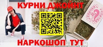 СК Сланцы