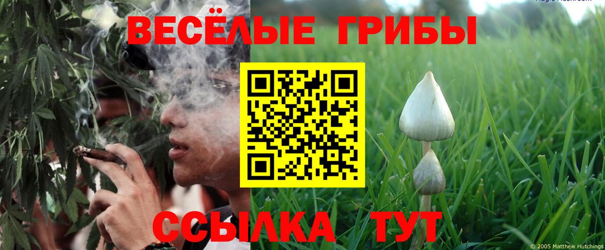 Галлюциногенные грибы мухоморы  Псилоцибиновые грибы Magic Shrooms  Вход с VPN  Маркс 
